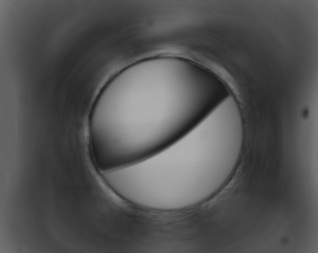 X0000101971428200807180715