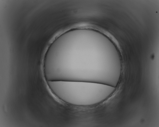 X0000101971429200807180715