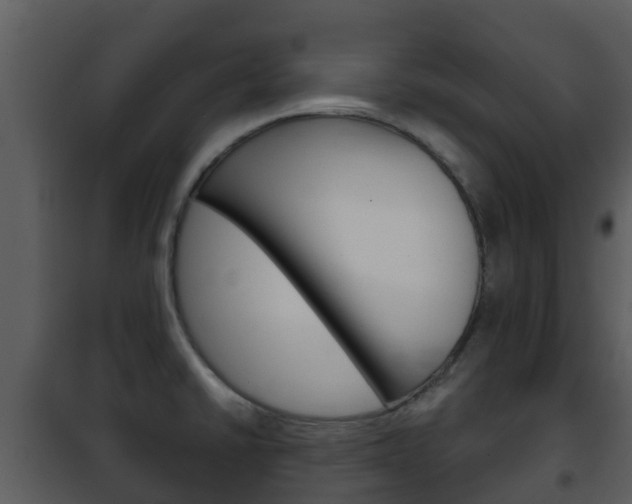 X0000101971430200807180715
