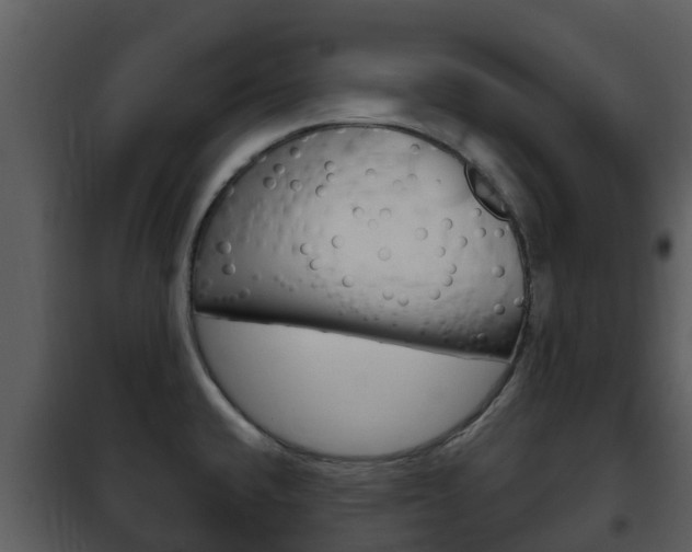 X0000101971432200807180715
