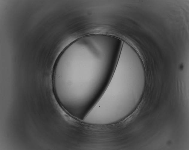 X0000101971434200807180715
