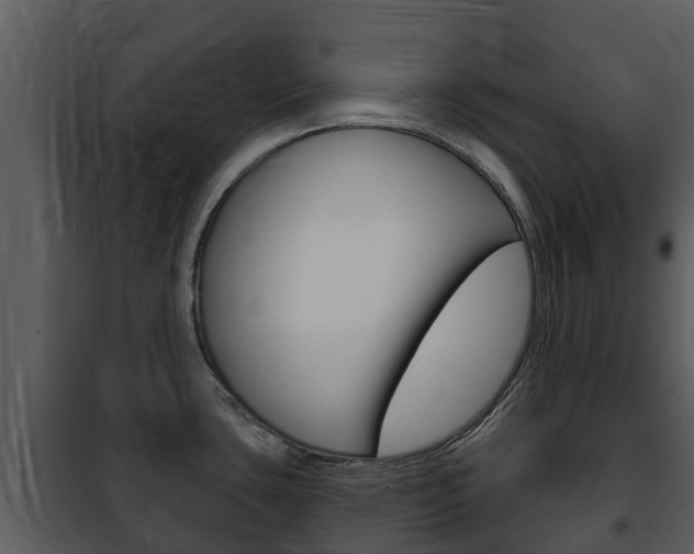X0000101971435200807180715