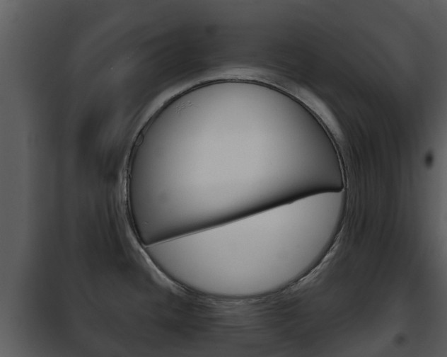 X0000101971436200807180715