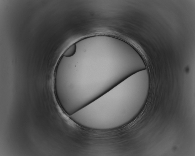 X0000101971439200807180716