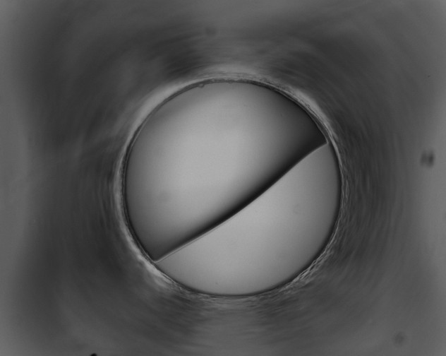 X0000101971440200807180716