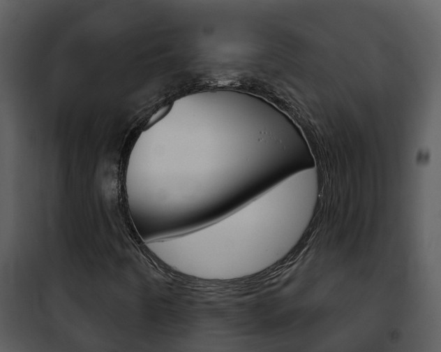 X0000101971442200807180715