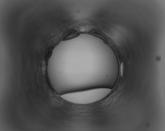 X0000101971443200807180715