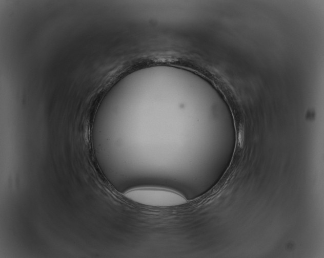 X0000101971444200807180715