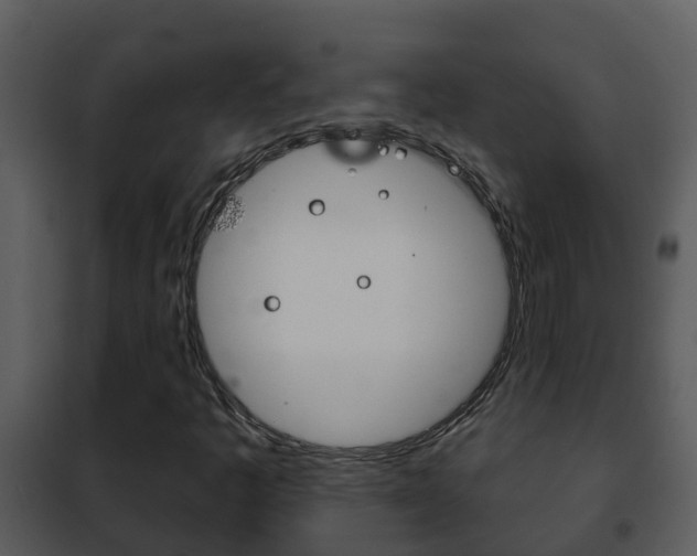 X0000101971445200807180715