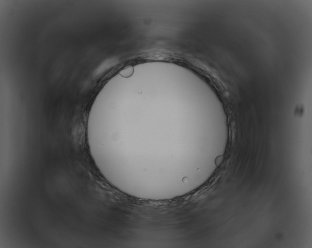X0000101971446200807180715