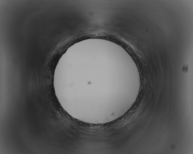 X0000101971447200807180715