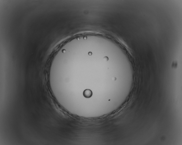 X0000101971448200807180715