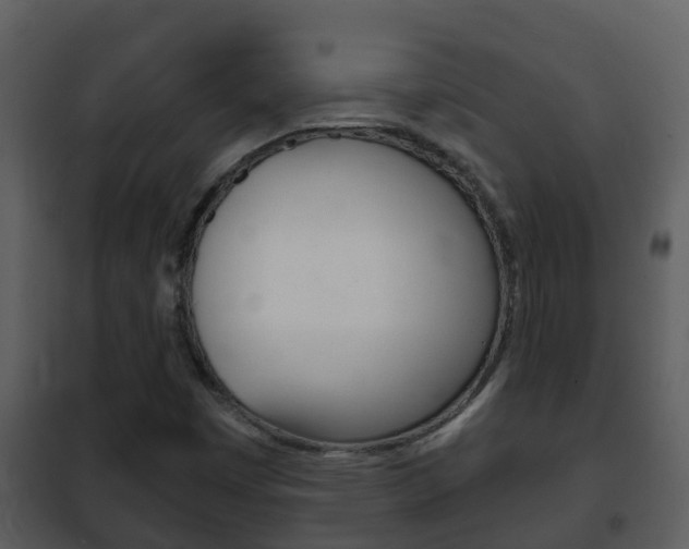 X0000101971449200807180715