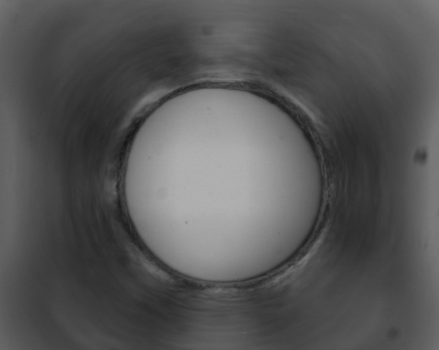 X0000101971451200807180715