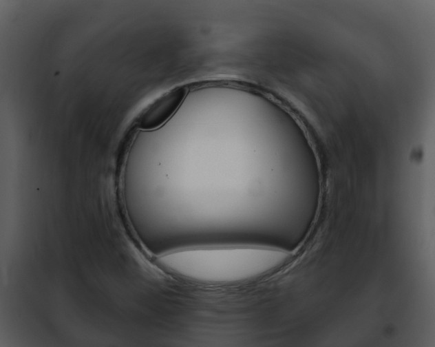 X0000101971452200807180715