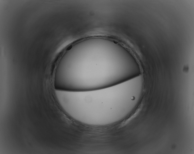 X0000101971453200807180715