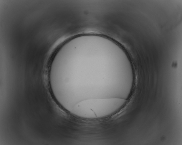 X0000101971454200807180715