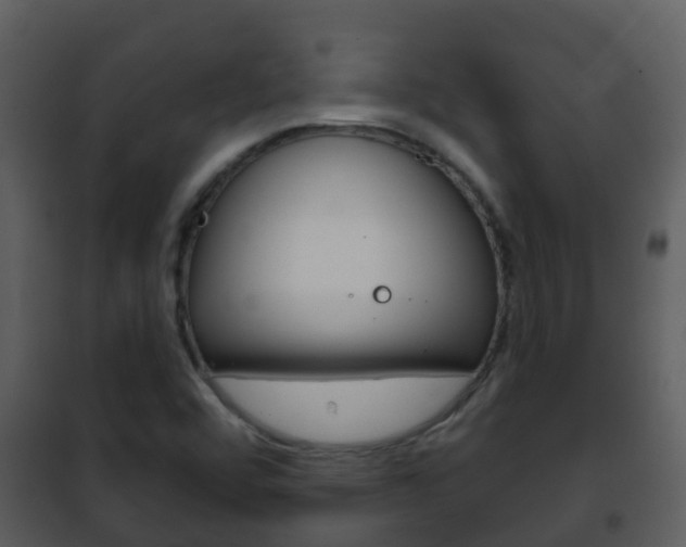 X0000101971456200807180715