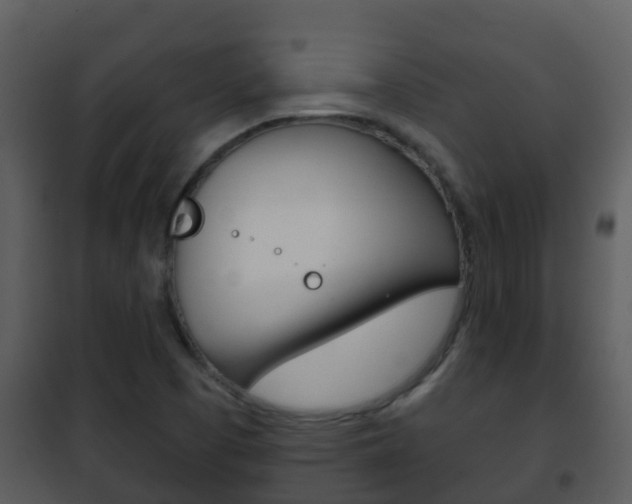 X0000101971457200807180715