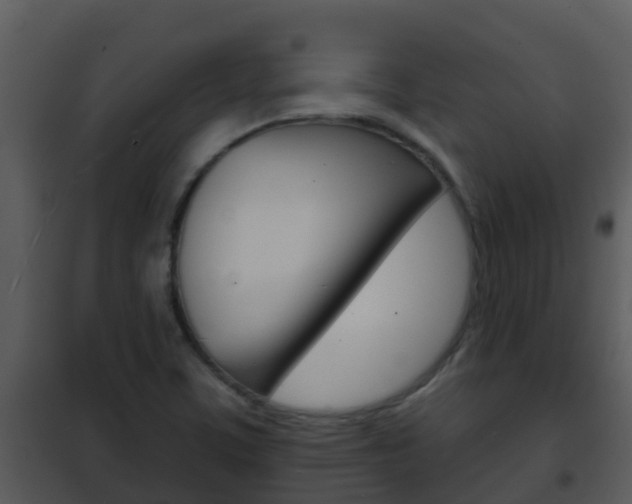 X0000101971459200807180715