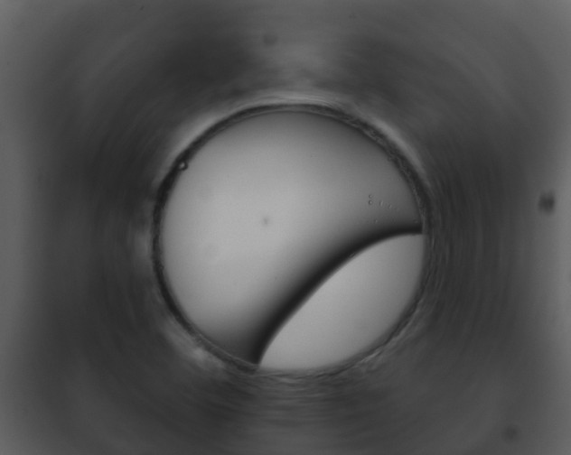 X0000101971460200807180715