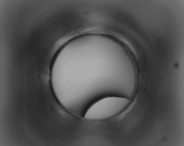 X0000101971461200807180715