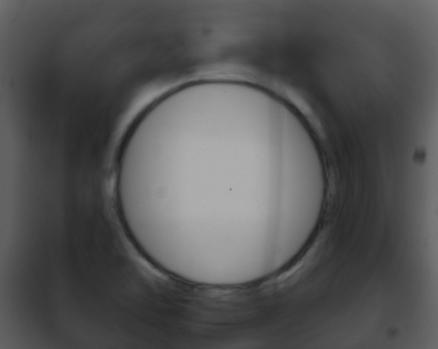 X0000101971462200807180715