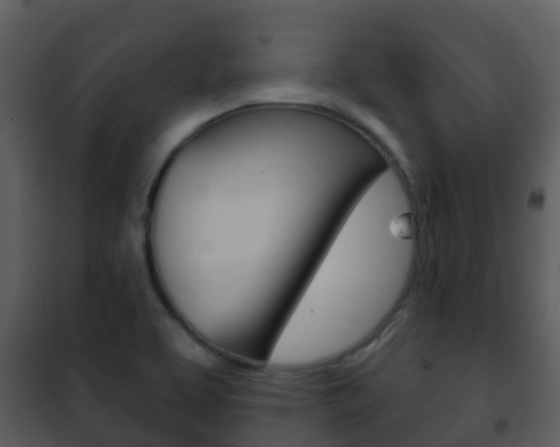 X0000101971463200807180715