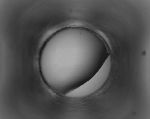 X0000101971464200807180715