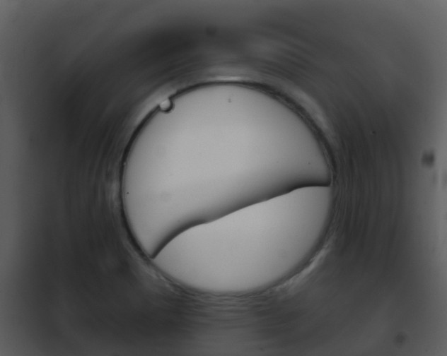 X0000101971465200807180715