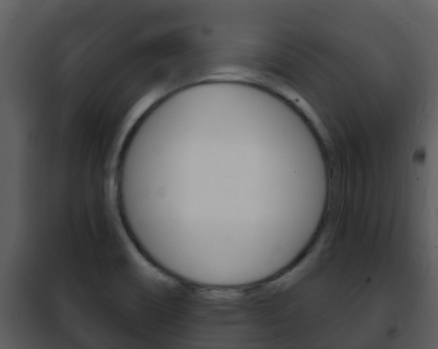 X0000101971466200807180714