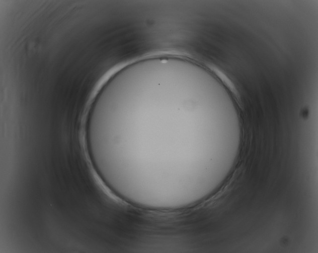 X0000101971468200807180714