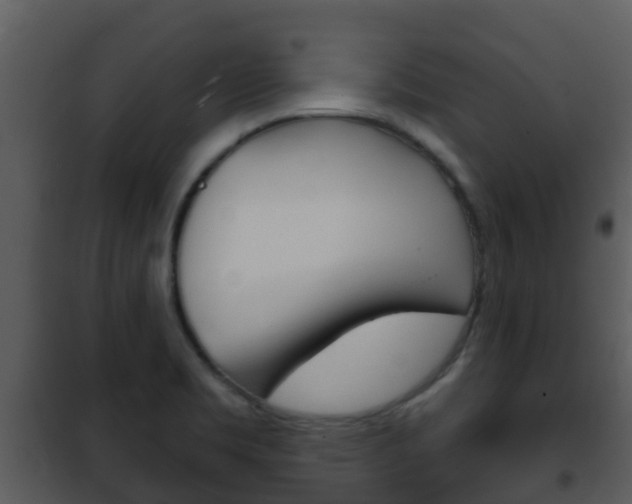 X0000101971469200807180714