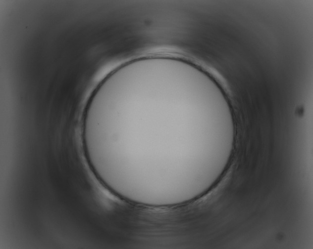 X0000101971470200807180714