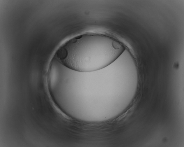 X0000101971471200807180714