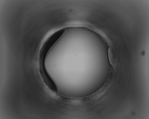 X0000101971472200807180714
