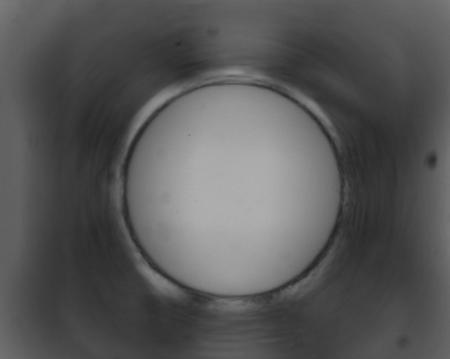 X0000101971474200807180714