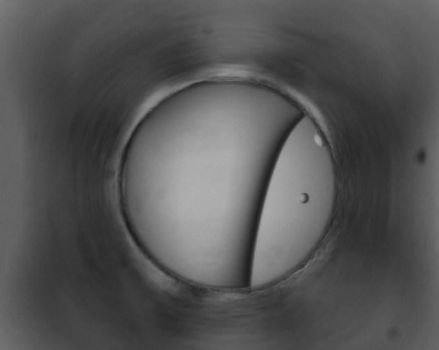 X0000101971475200807180714