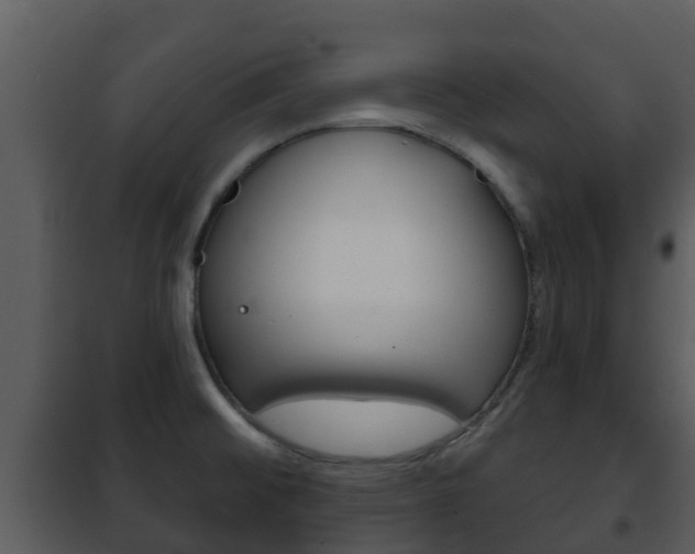 X0000101971476200807180714