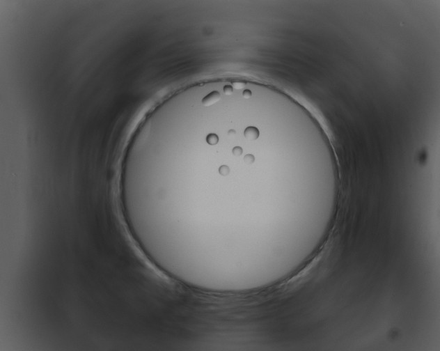 X0000101971477200807180714