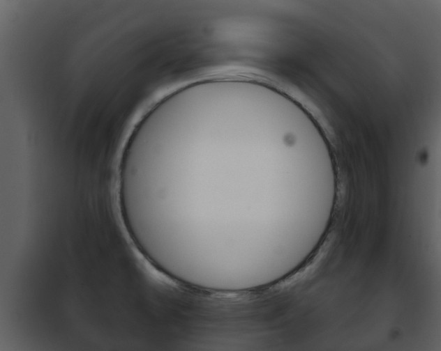 X0000101971478200807180714