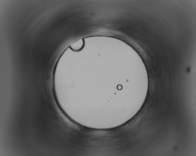X0000101971479200807180714