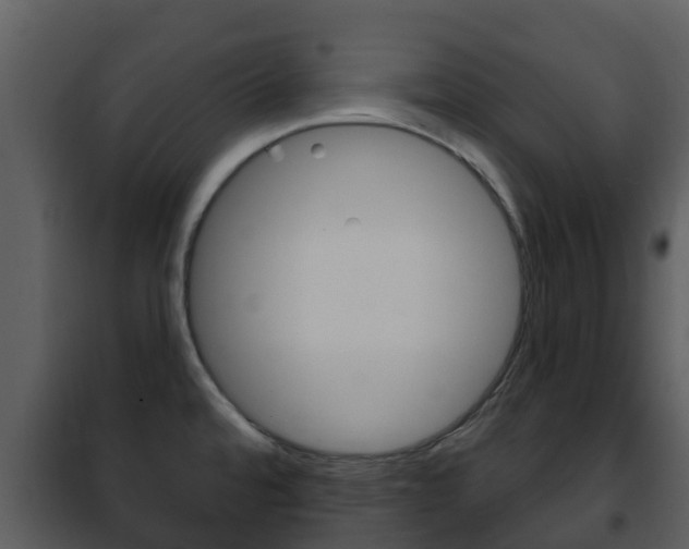 X0000101971480200807180714