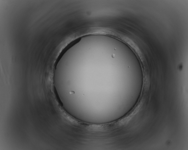 X0000101971481200807180714
