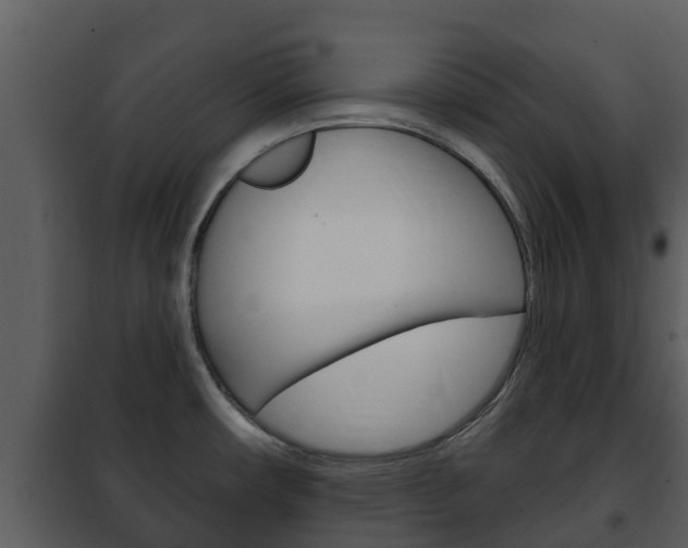 X0000101971482200807180714