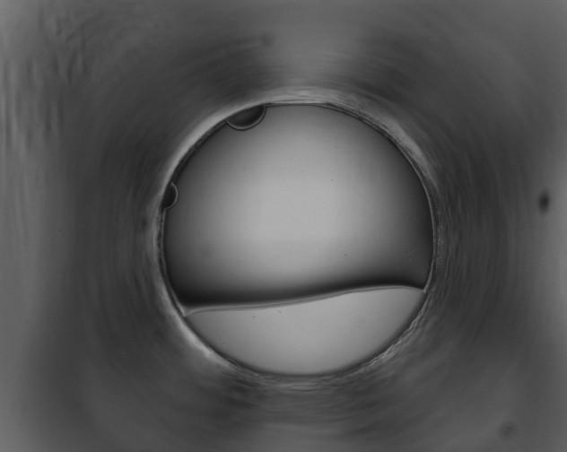X0000101971484200807180714