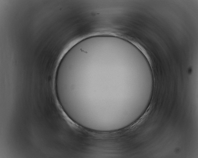 X0000101971485200807180714