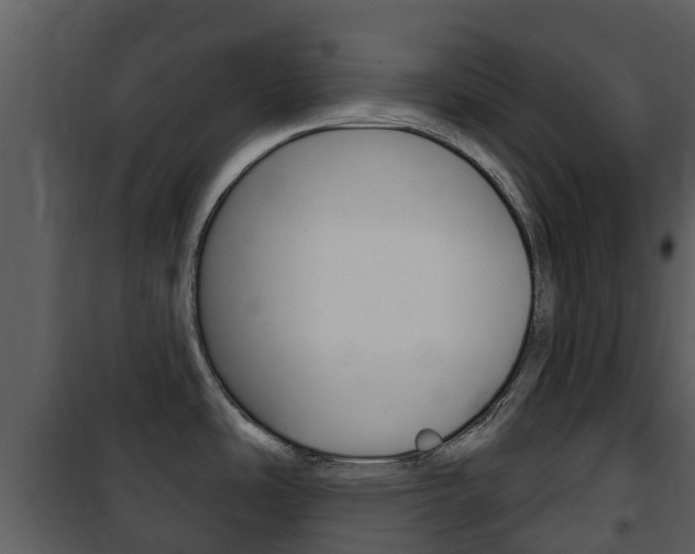 X0000101971486200807180714