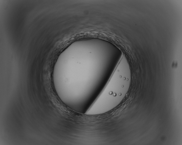 X0000101971489200807180713