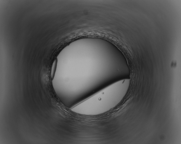 X0000101971490200807180713